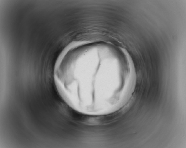 X0000086930178200705141749