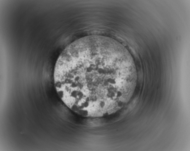 X0000086930181200705141749