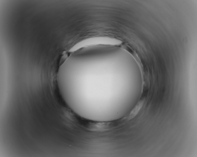 X0000086930184200705141749