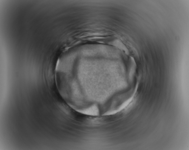 X0000086930186200705141749