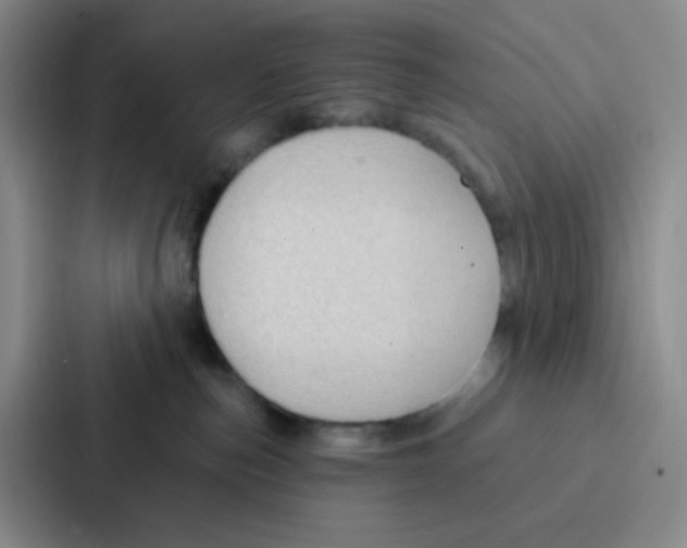 X0000086930187200705141749