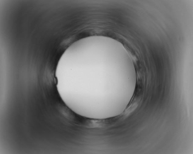 X0000086930188200705141749