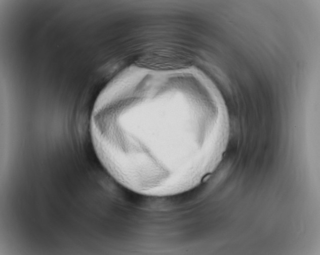 X0000086930189200705141749