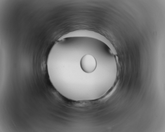 X0000086930190200705141749