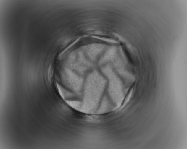 X0000086930192200705141750