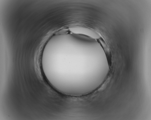 X0000086930193200705141749