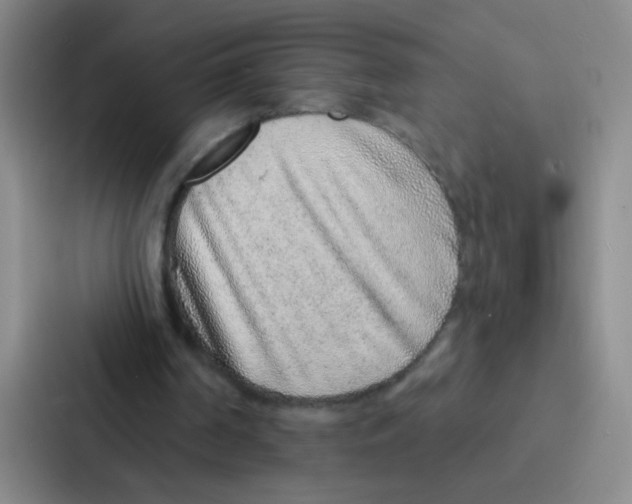 X0000086930194200705141749