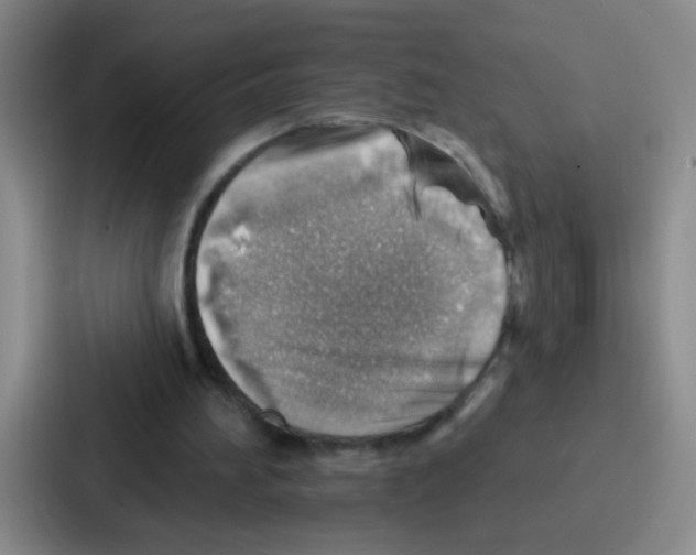 X0000086930196200705141749