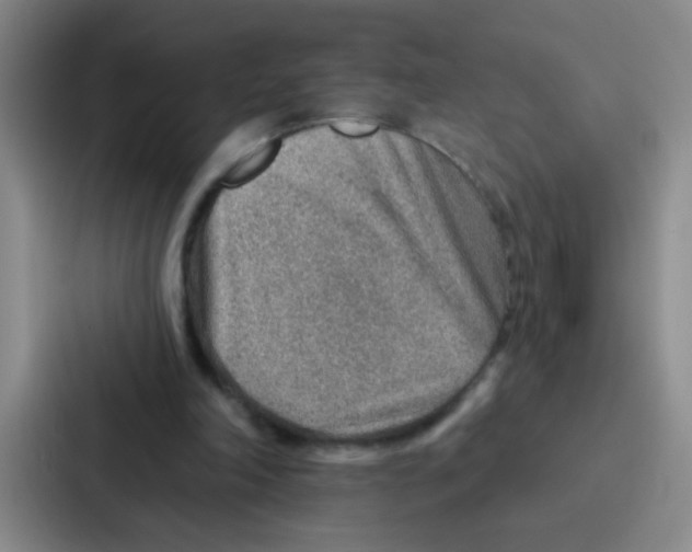 X0000086930198200705141749