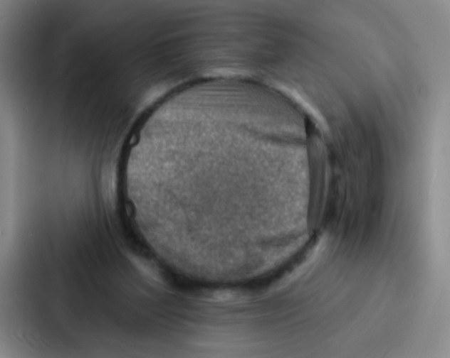 X0000086930204200705141749