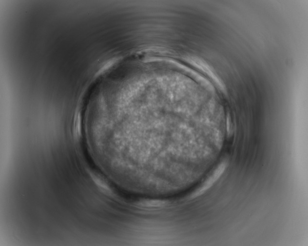 X0000086930205200705141749