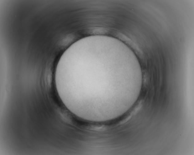 X0000086930206200705141749