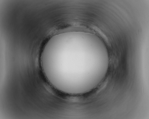 X0000086930209200705141749