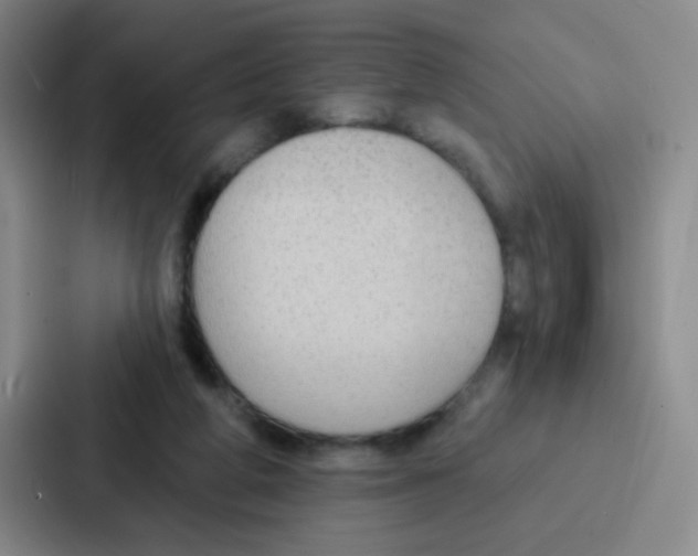 X0000086930210200705141749