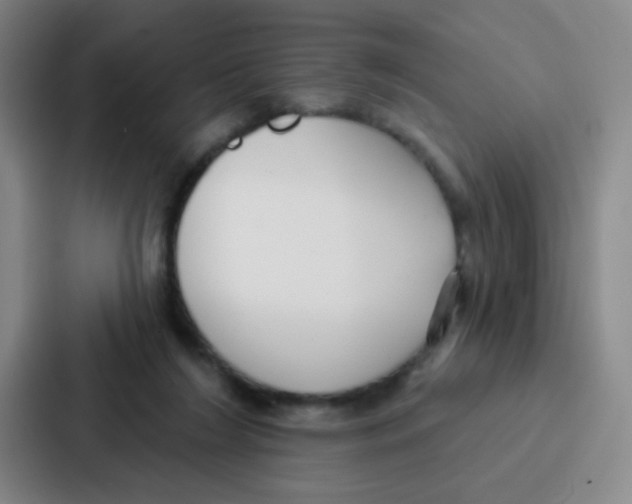 X0000086930212200705141749