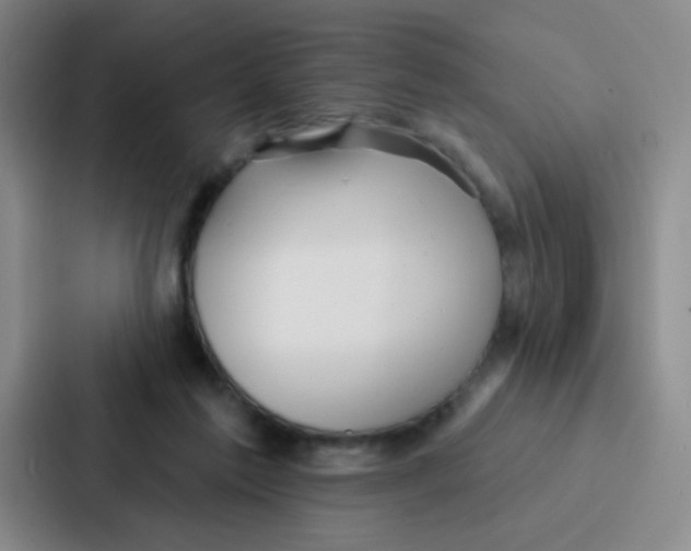 X0000086930213200705141749