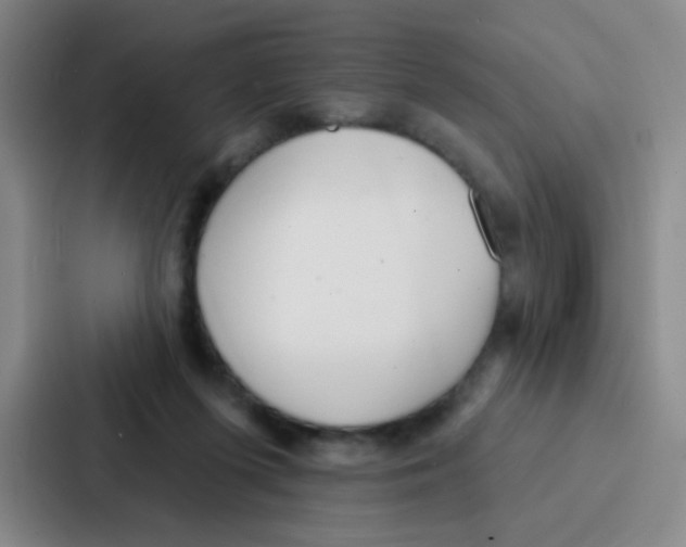 X0000086930215200705141749