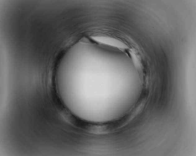 X0000086930217200705141749