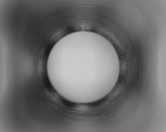 X0000086930218200705141749