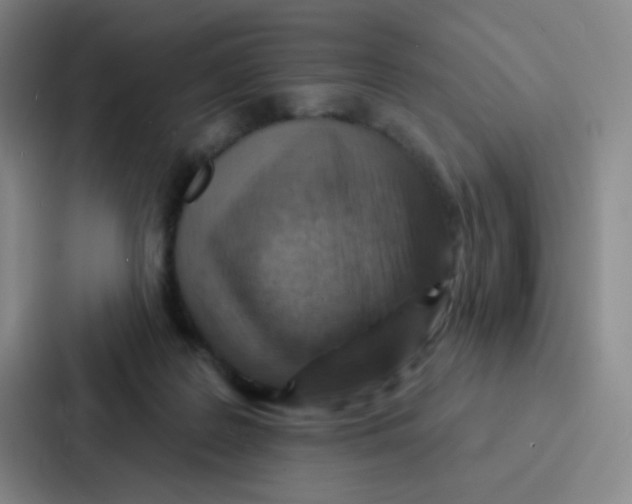 X0000086930219200705141749