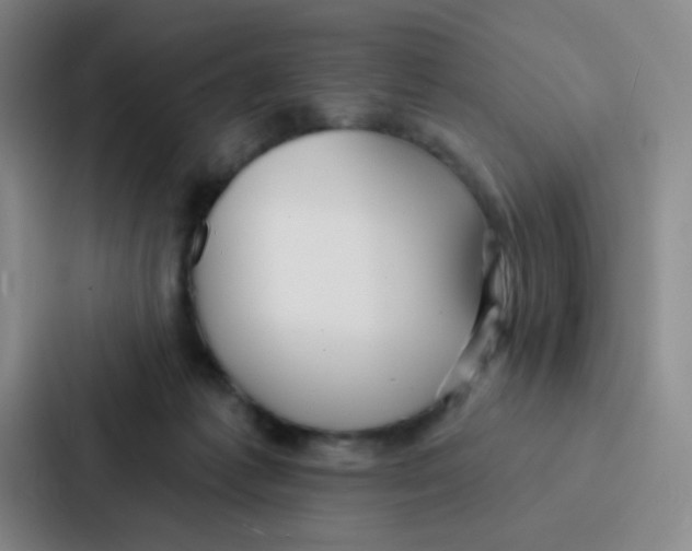 X0000086930221200705141749