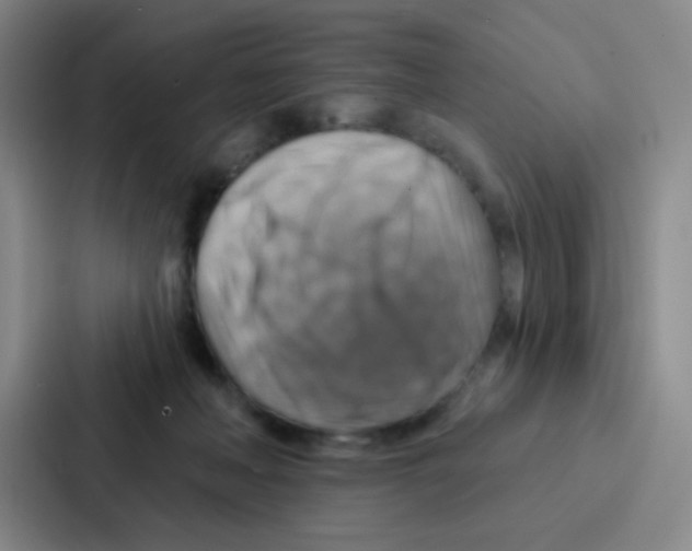 X0000086930222200705141749