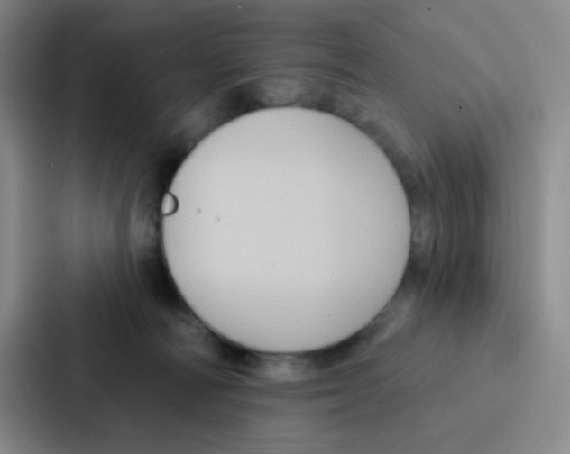 X0000086930226200705141748