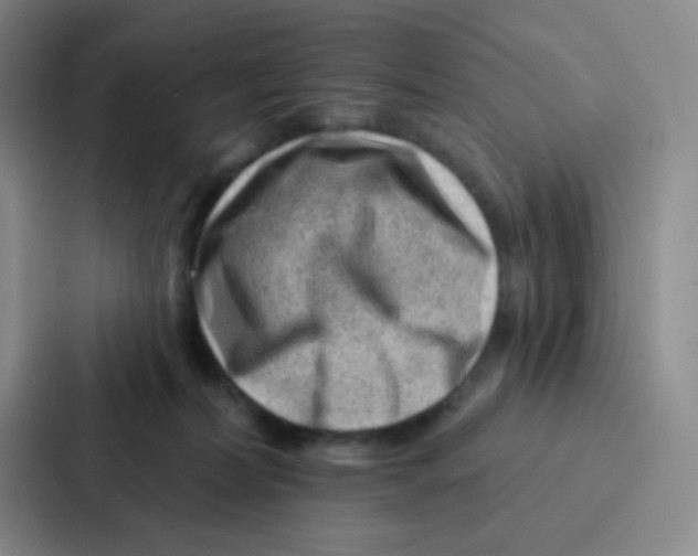 X0000086930228200705141748