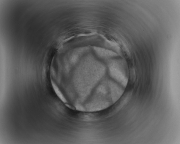 X0000086930229200705141748