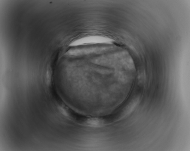 X0000086930231200705141748