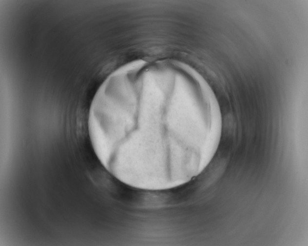 X0000086930234200705141748