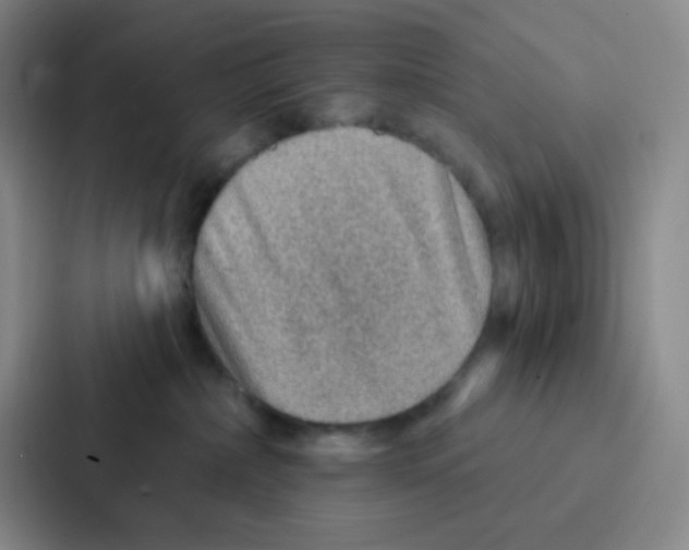 X0000086930236200705141748