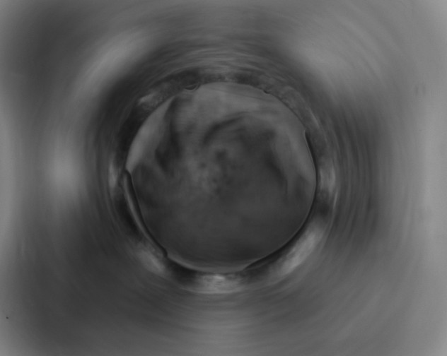 X0000086930239200705141748