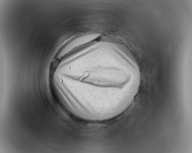 X0000086930242200705141748