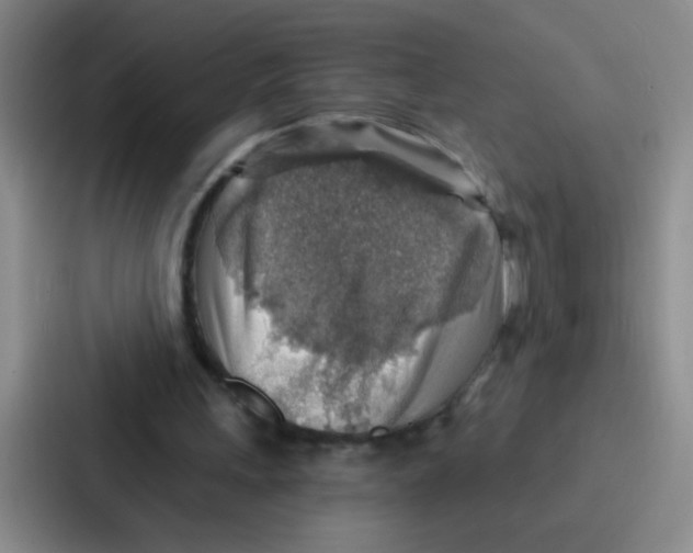 X0000086930243200705141748