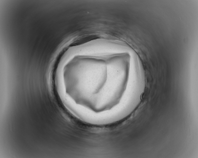 X0000086930245200705141748