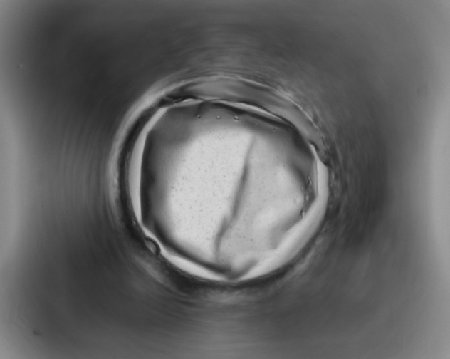 X0000086930246200705141748