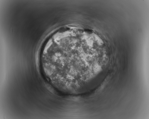 X0000086930247200705141748