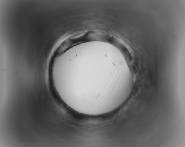 X0000086930248200705141748