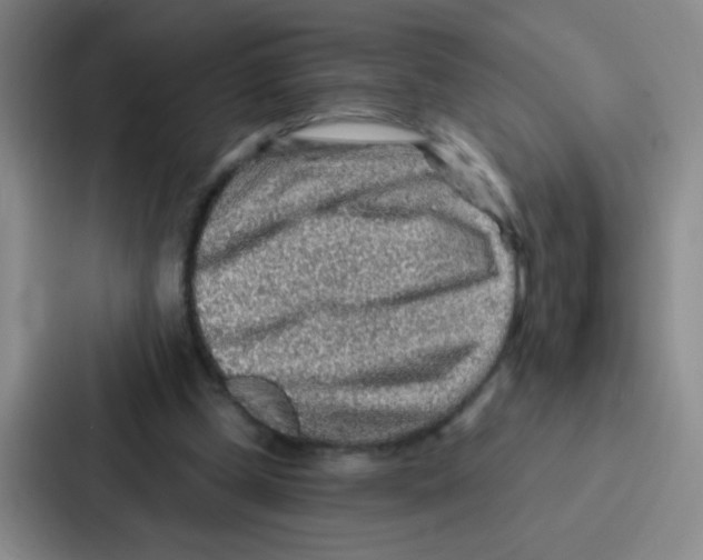 X0000086930249200705141748