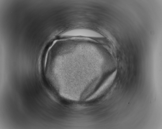 X0000086930250200705141748