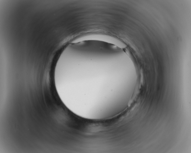 X0000086930252200705141748