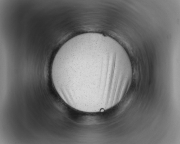 X0000086930255200705141748