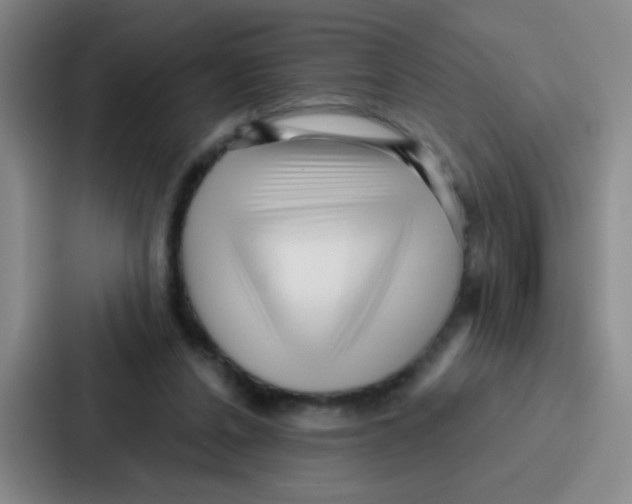 X0000086930256200705141748