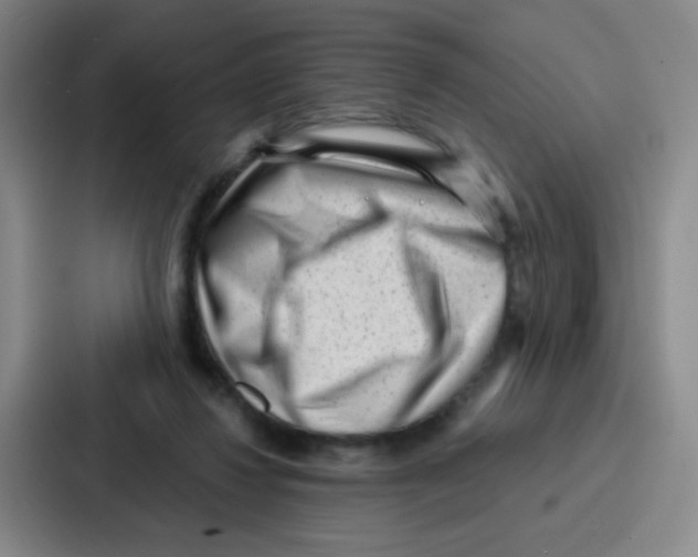 X0000086930260200705141748