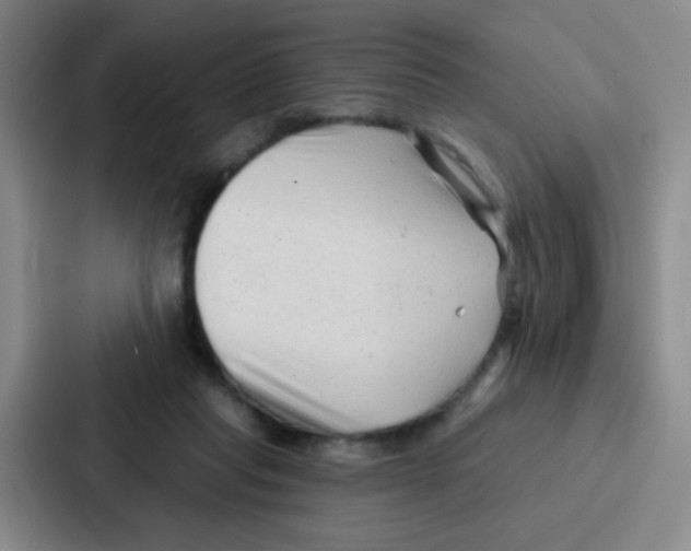 X0000086930261200705141748