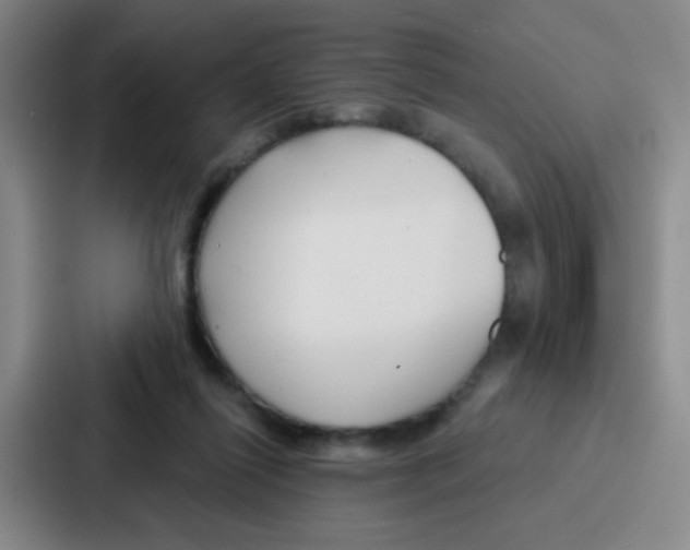 X0000086930262200705141748