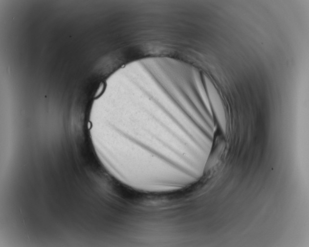 X0000086930263200705141748