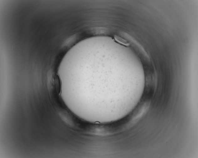 X0000086930264200705141748