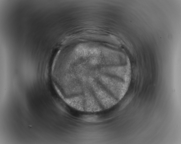 X0000086930266200705141748